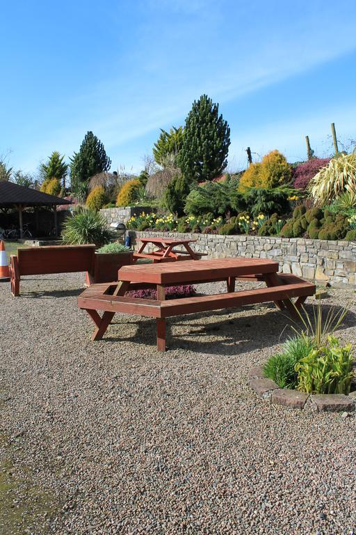 Bective Mill B&B 启美善 外观 照片